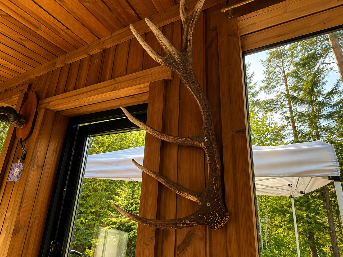 Forest Lodge Hot Tub Lake View Alpaca & Deer Park — 5